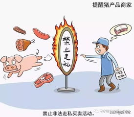 習(xí)水豬肉放心購，飼料原料供應(yīng)穩(wěn)——解析非洲豬瘟防控下的市場保障
