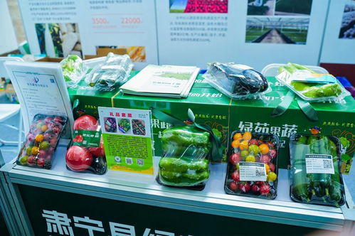 旱堿麥品牌引領京津冀農(nóng)業(yè)協(xié)同新篇章——滄州農(nóng)產(chǎn)品閃耀京城
