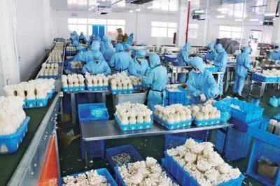 泰州 以農產品為基石，做好農村產業融合“穩定器”